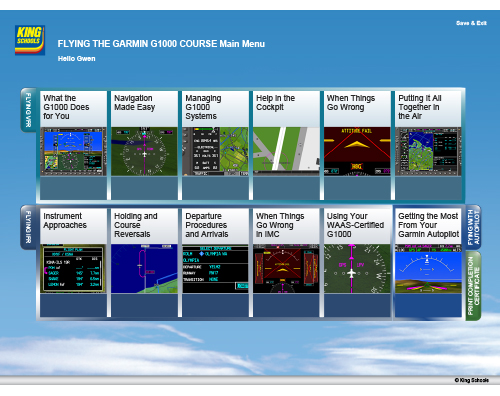 G1000 Online Main Menu